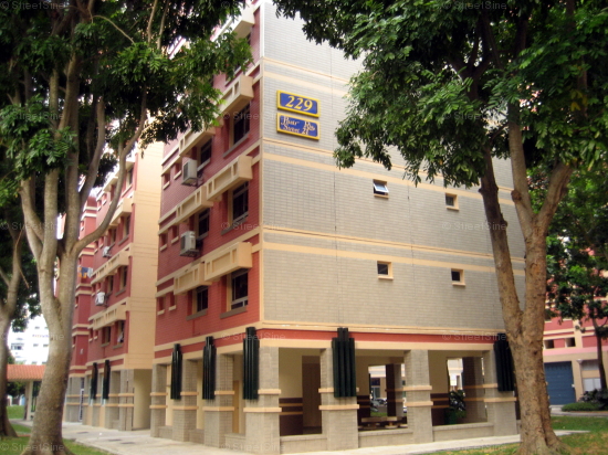 Blk 229 Pasir Ris Street 21 (Pasir Ris), HDB 4 Rooms #125632